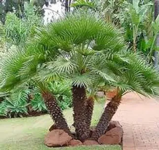 2e4999 a8d5d2214d6f4df9946c2a9a45c753be~mv2